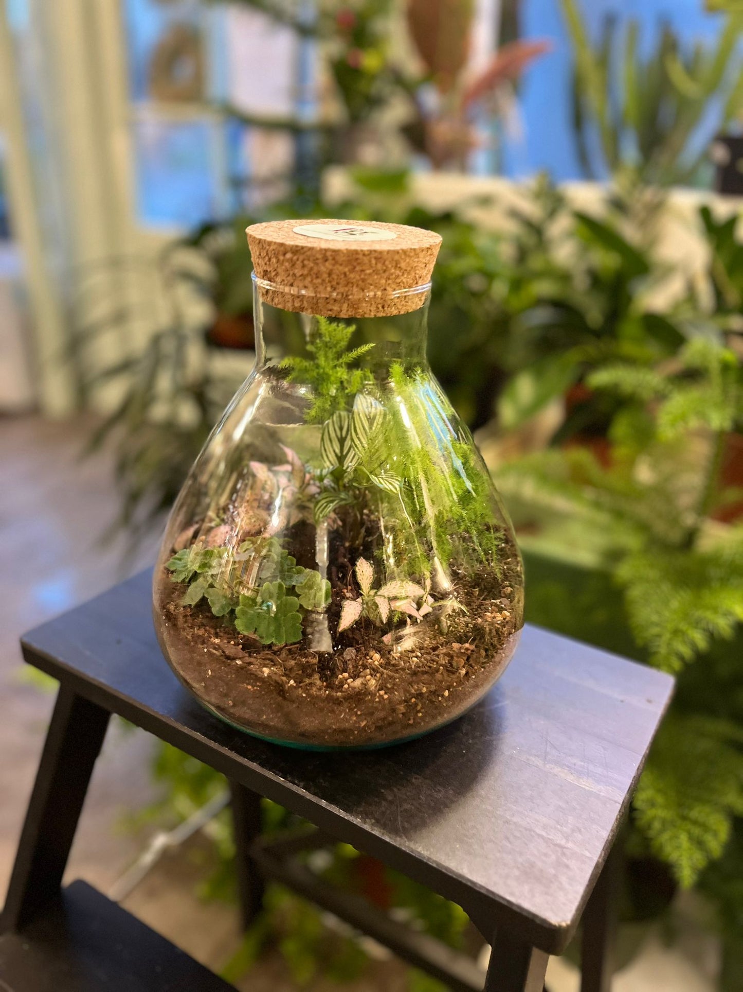 Bespoke Terrariums