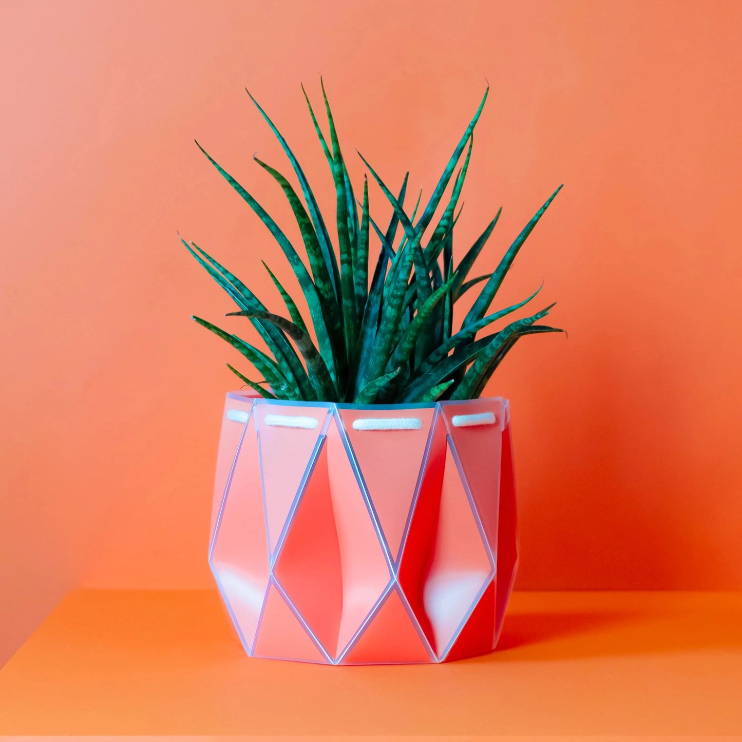 18cm Self-watering POTR Pot