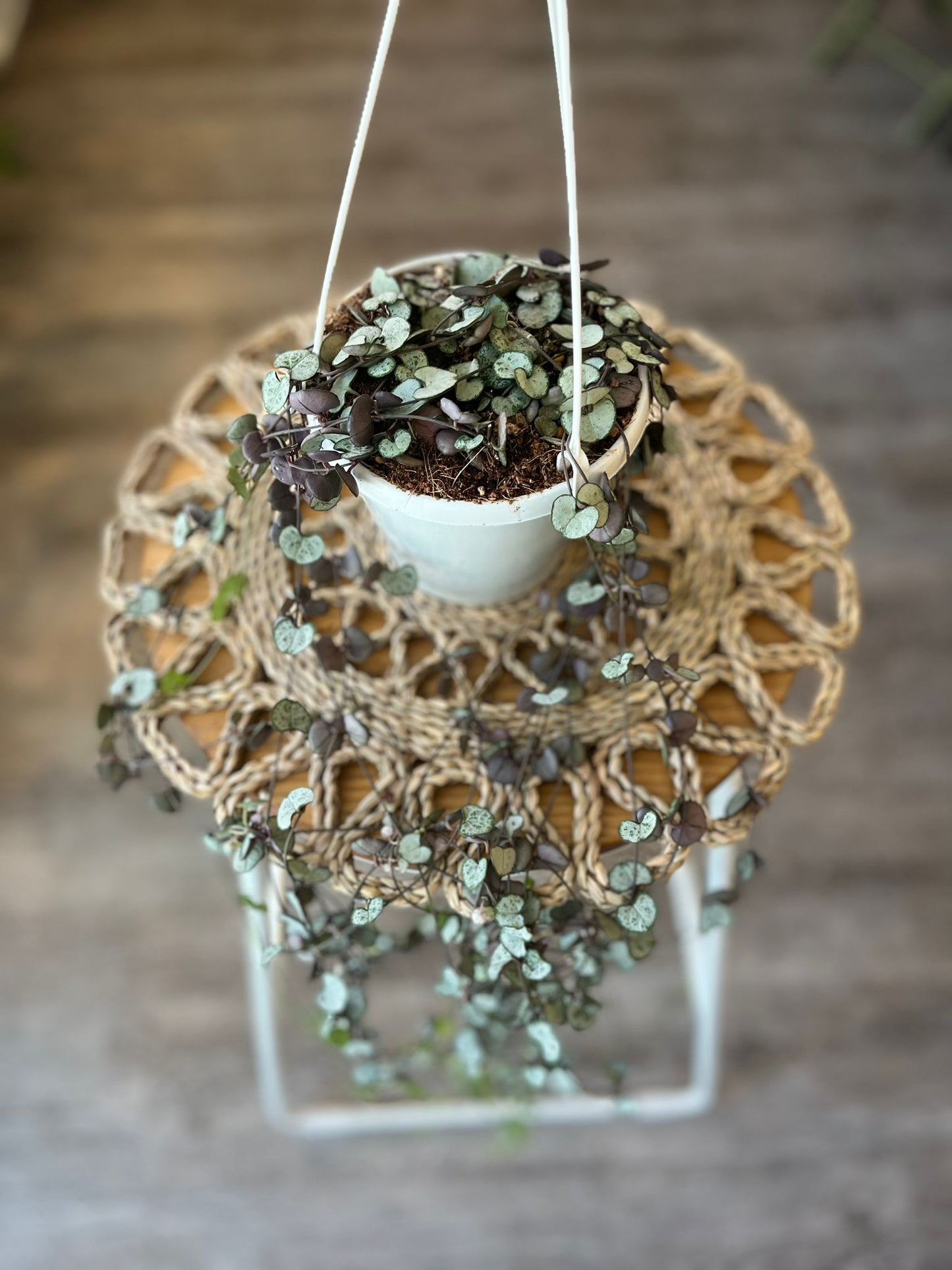 String of Hearts