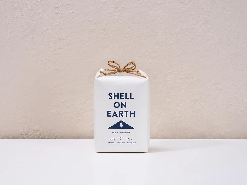 Shell on Earth
