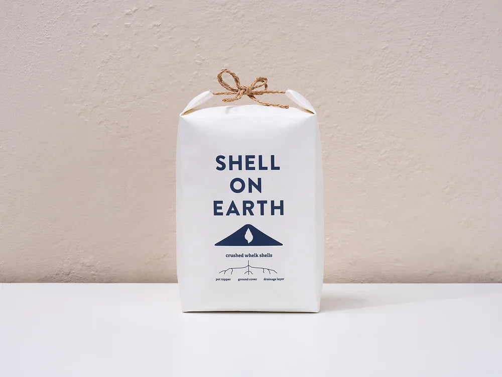 Shell on Earth