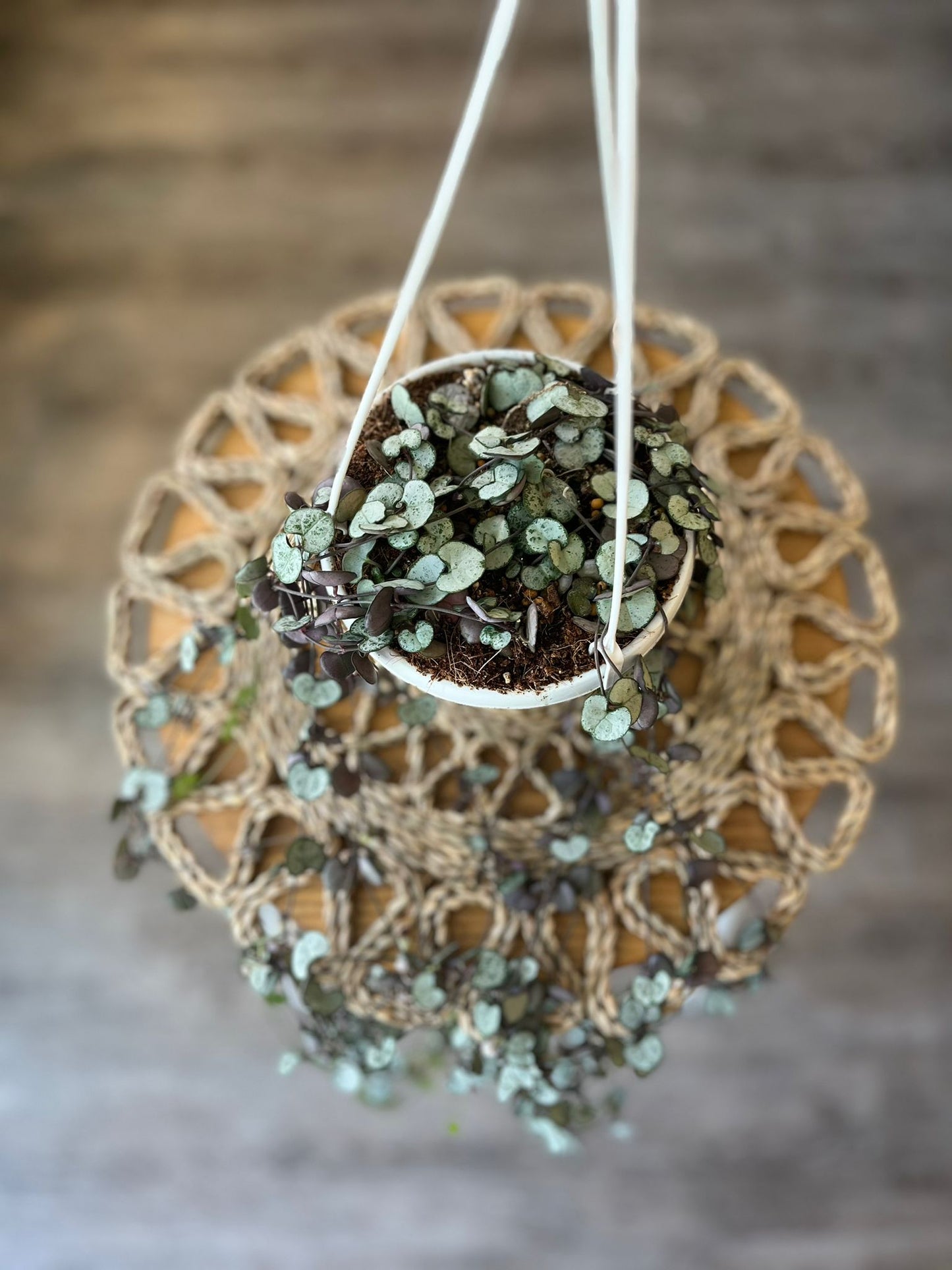 String of Hearts