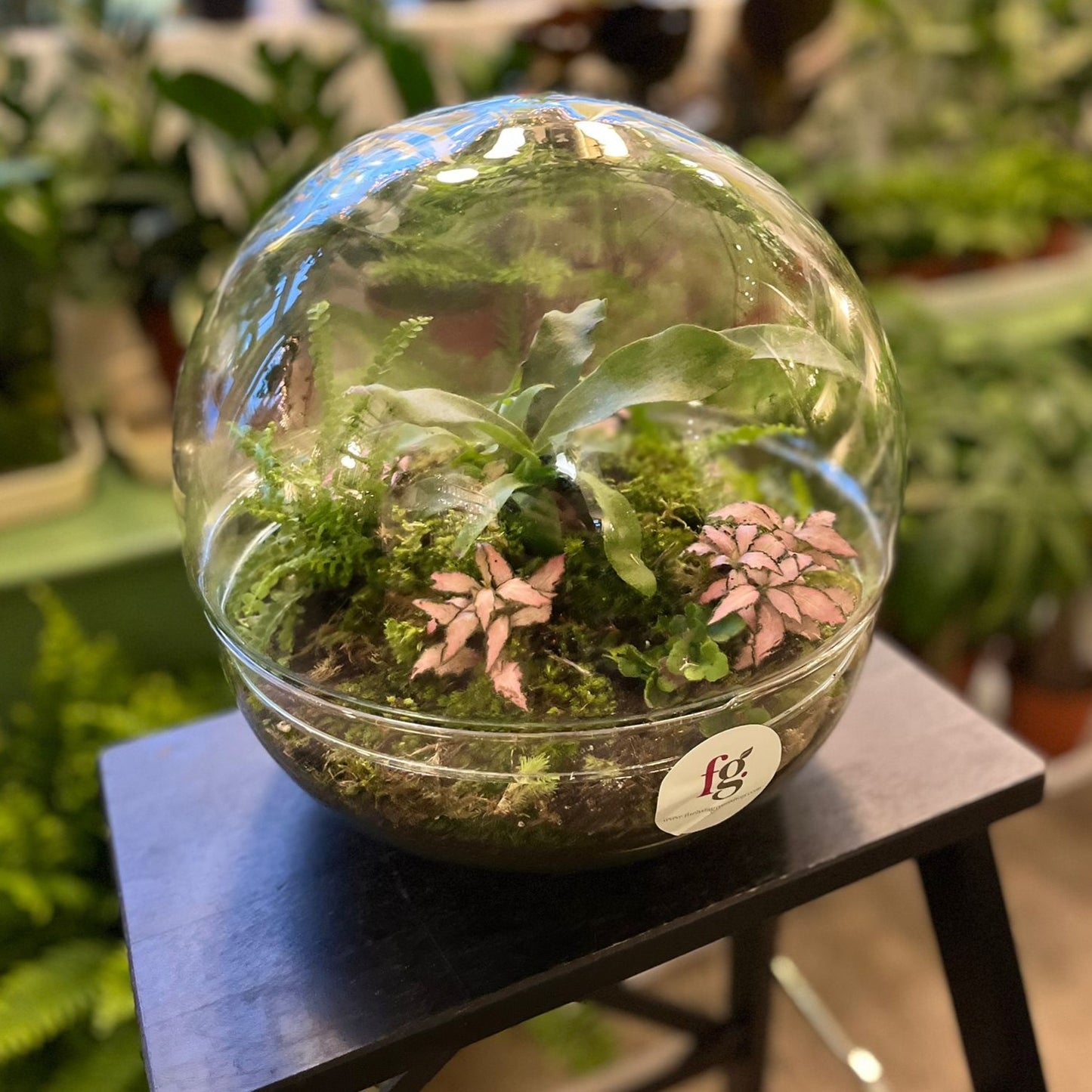 Bespoke Terrariums