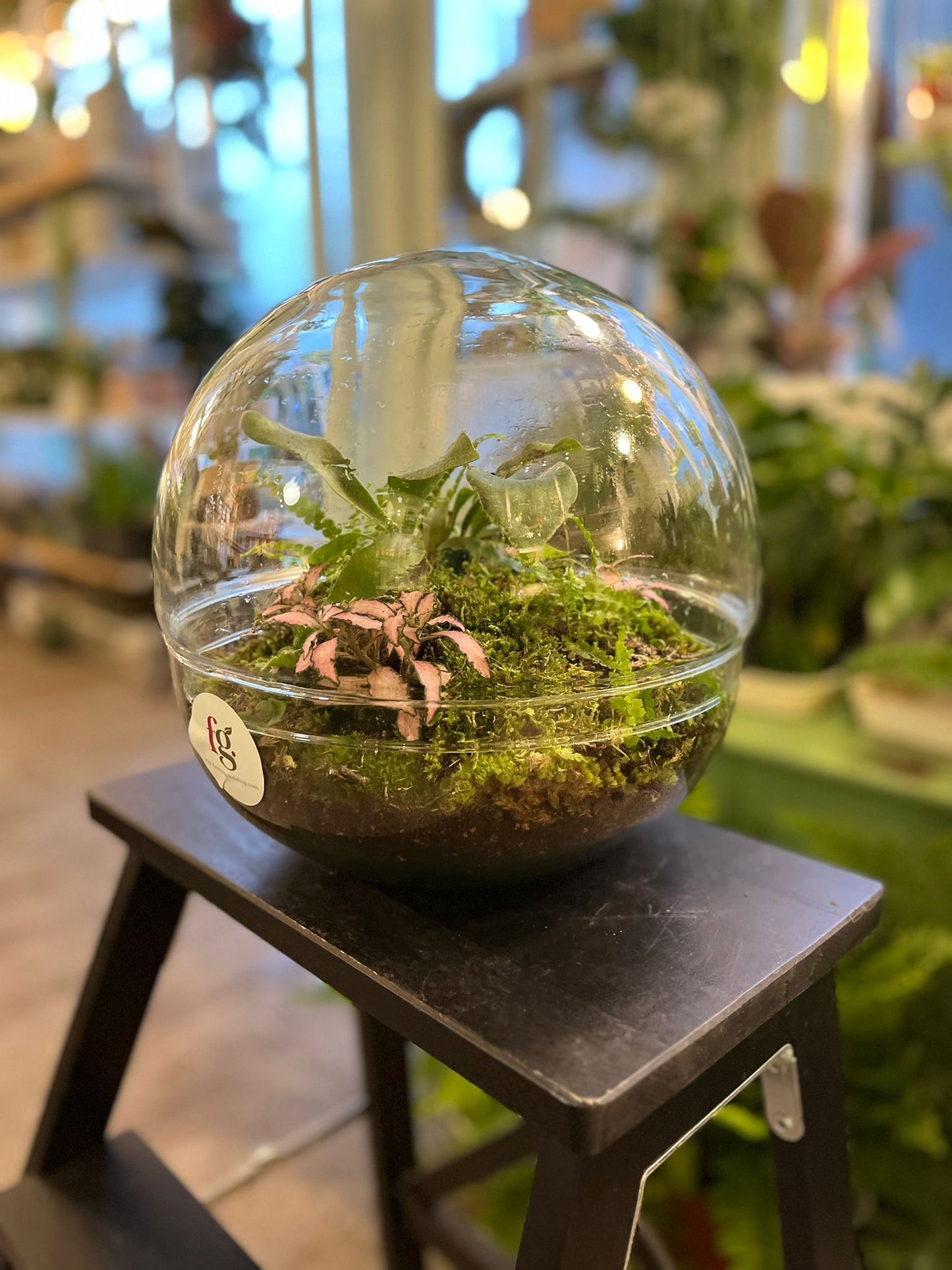 Bespoke Terrariums