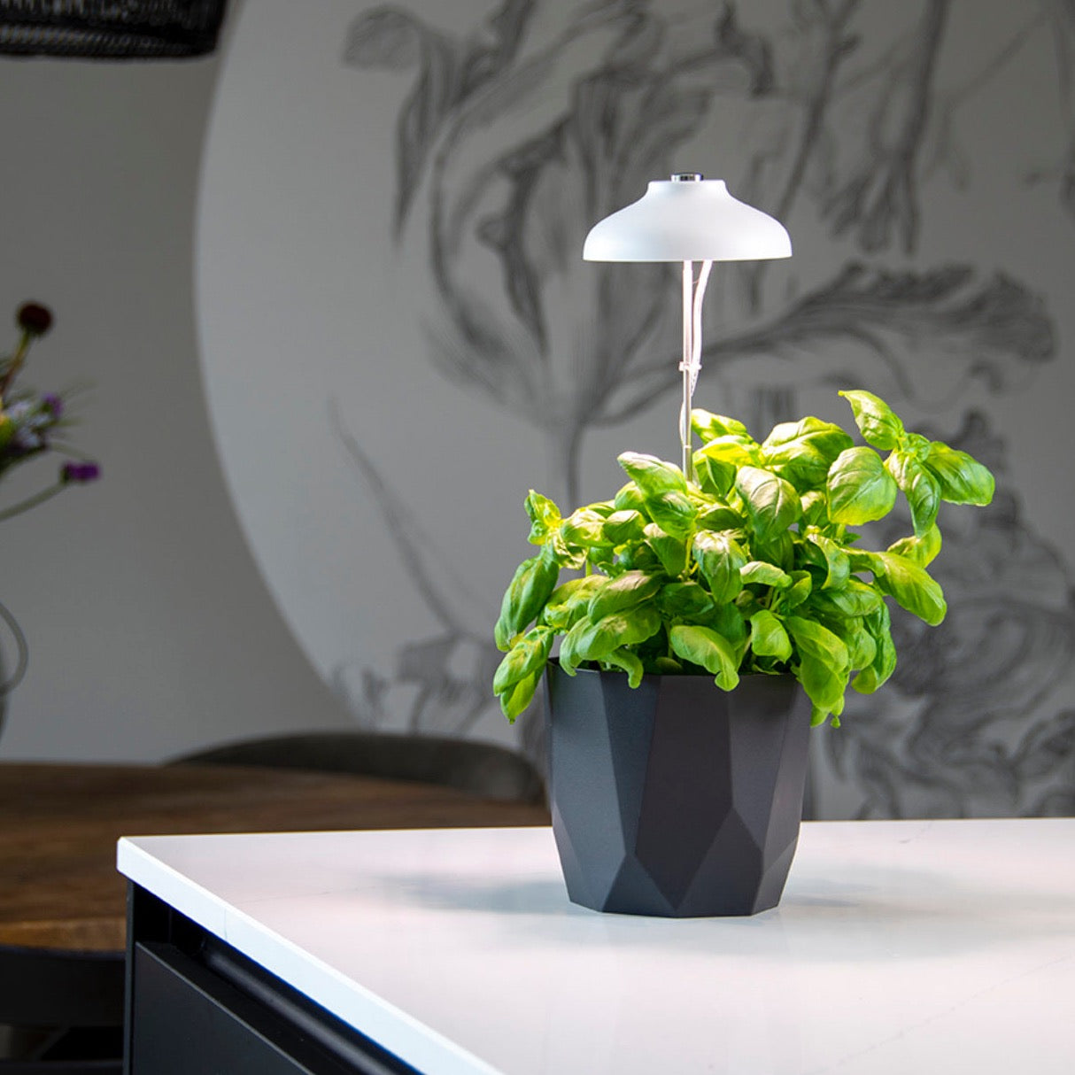 LED Grow Lamp