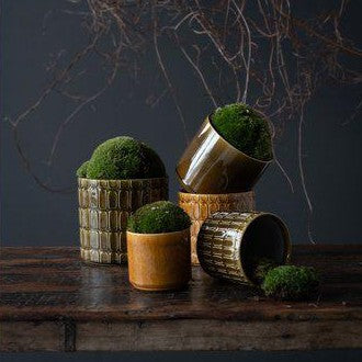 Textured Mustard Ceramic Plant Pot
