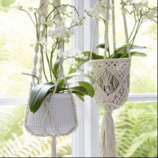 Two macrame plant hangers with potted plants hanging by a window.