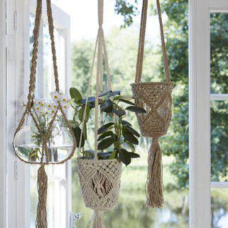 Macrame plant hangers with plants hanging in front of a glass door.