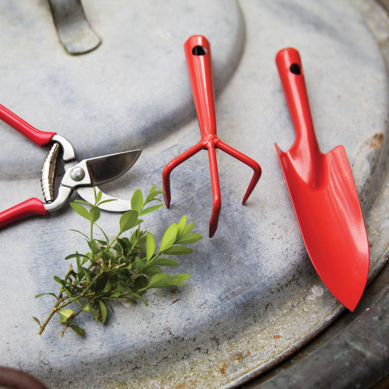 Mini Pruner