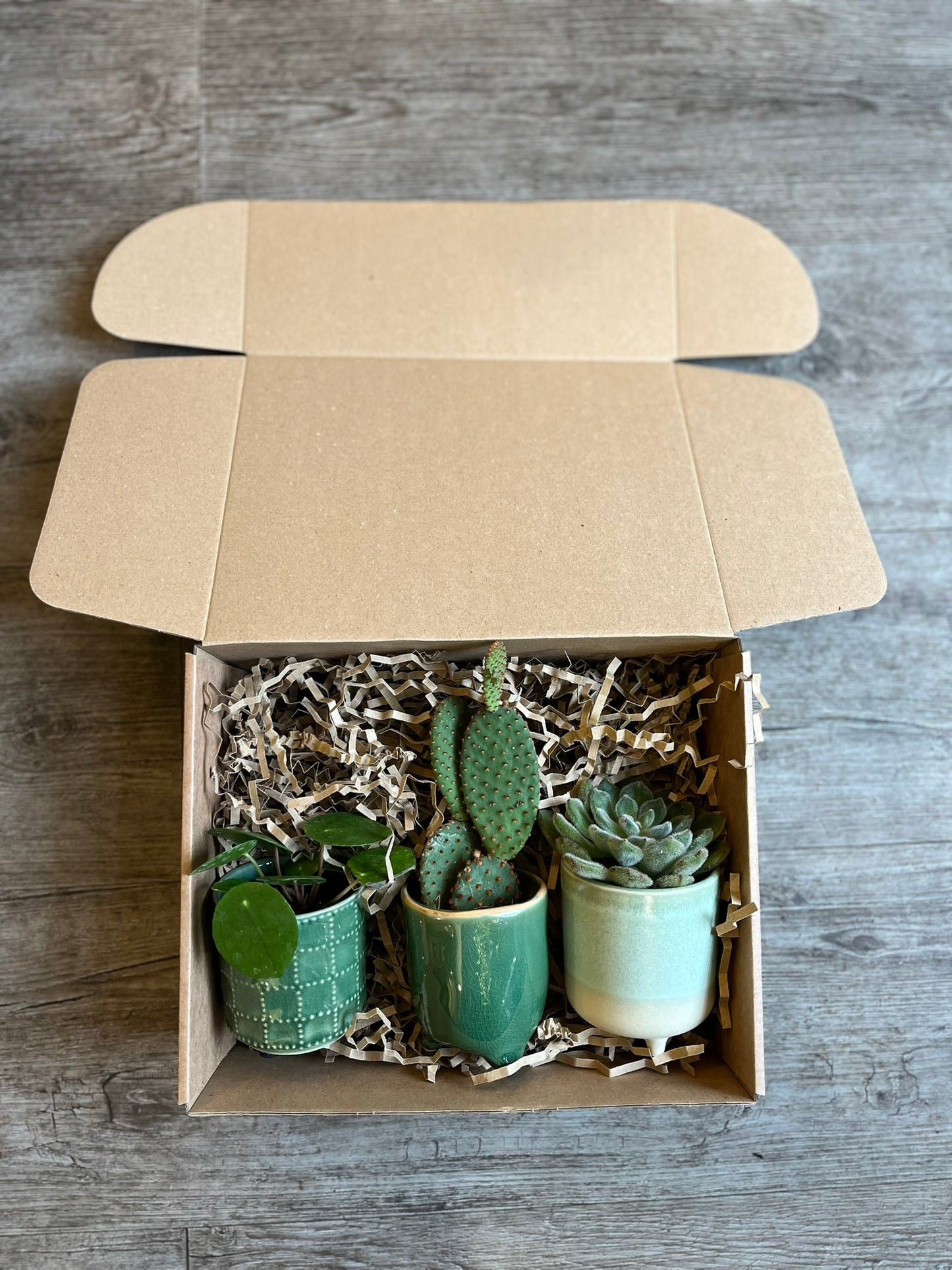 Mini Plant Gift Box