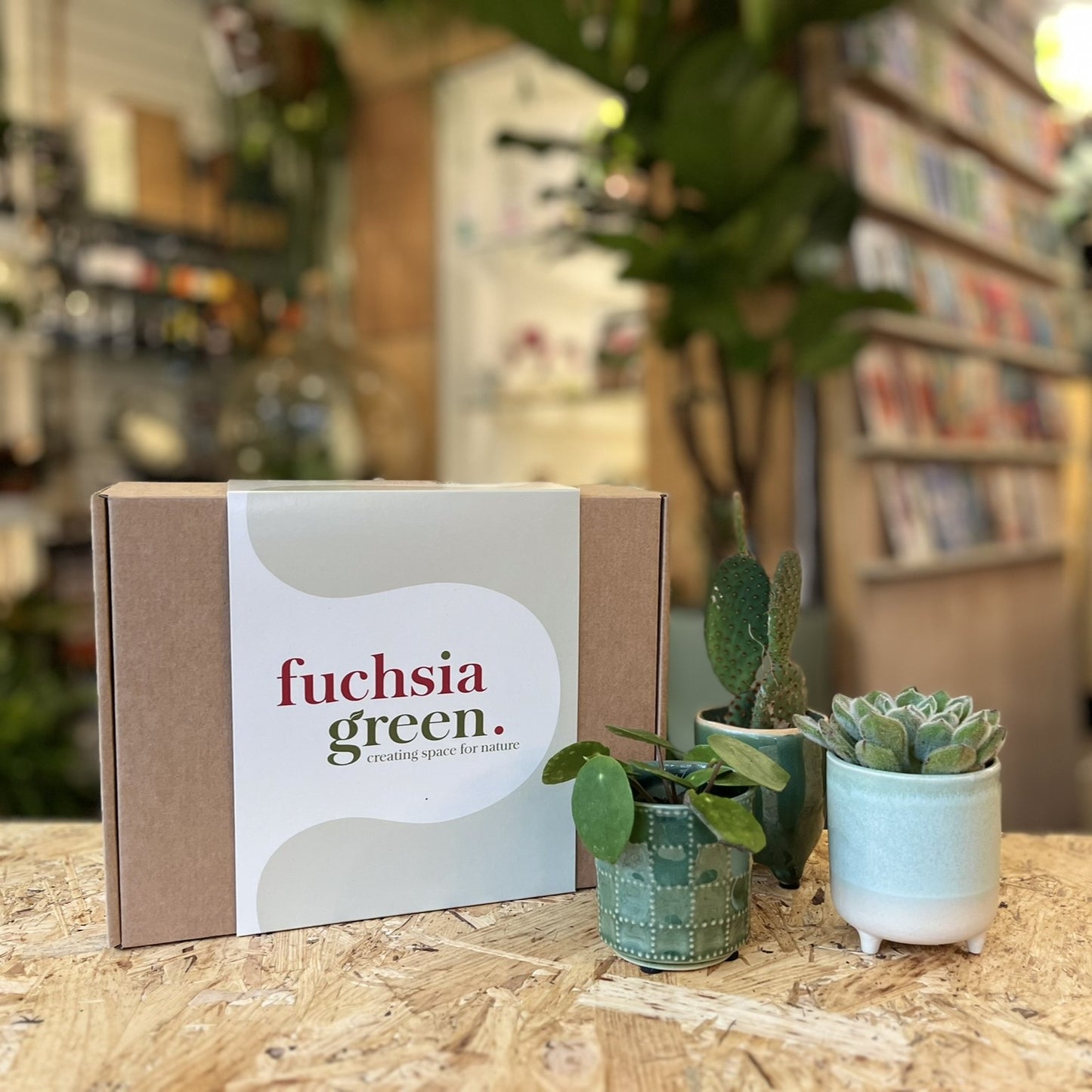 Mini Plant Gift Box
