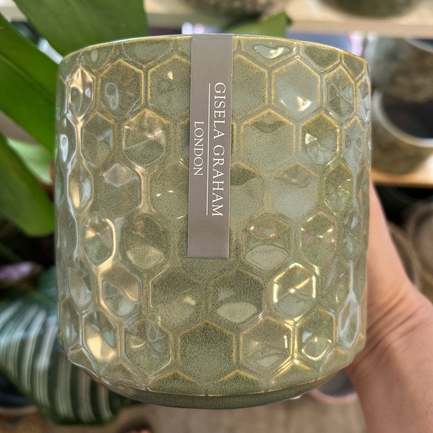 Seafoam Honeycomb Stoneware Pot