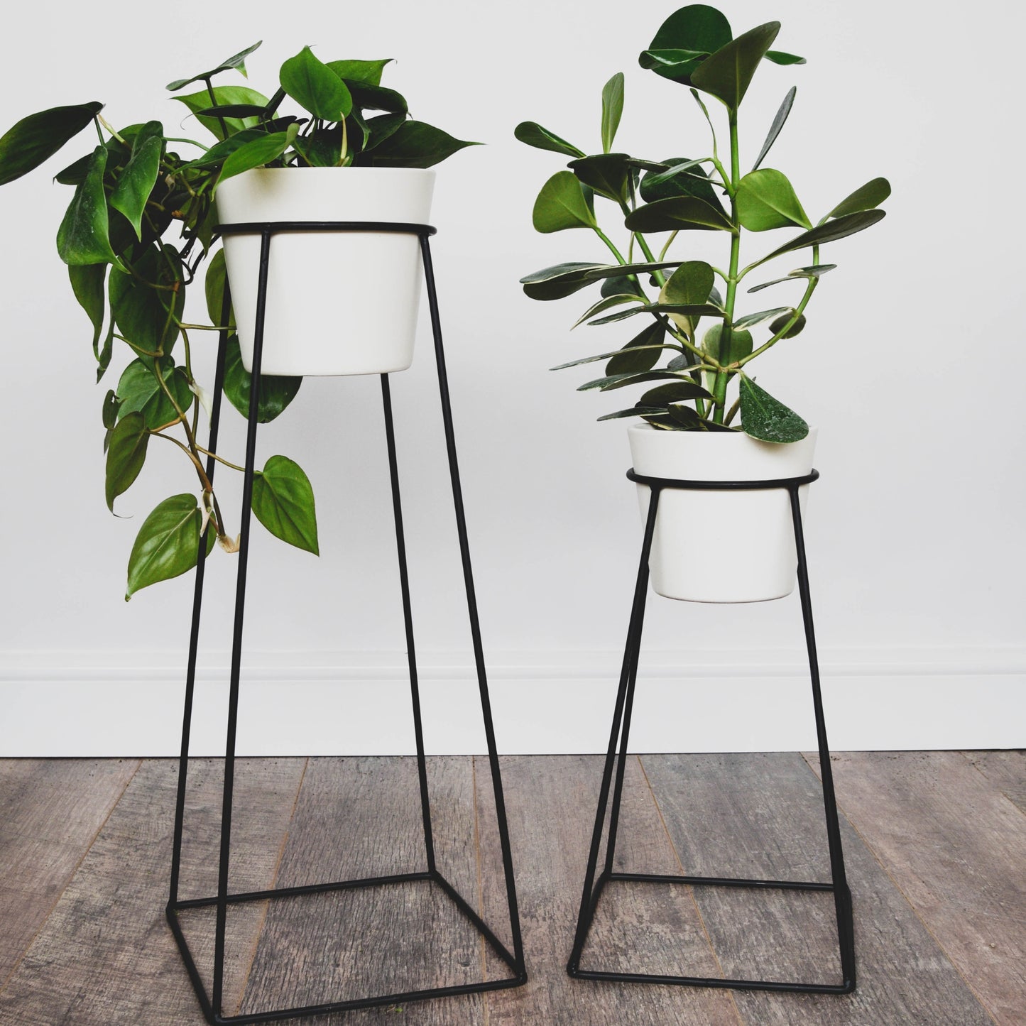 Black wire plant stands