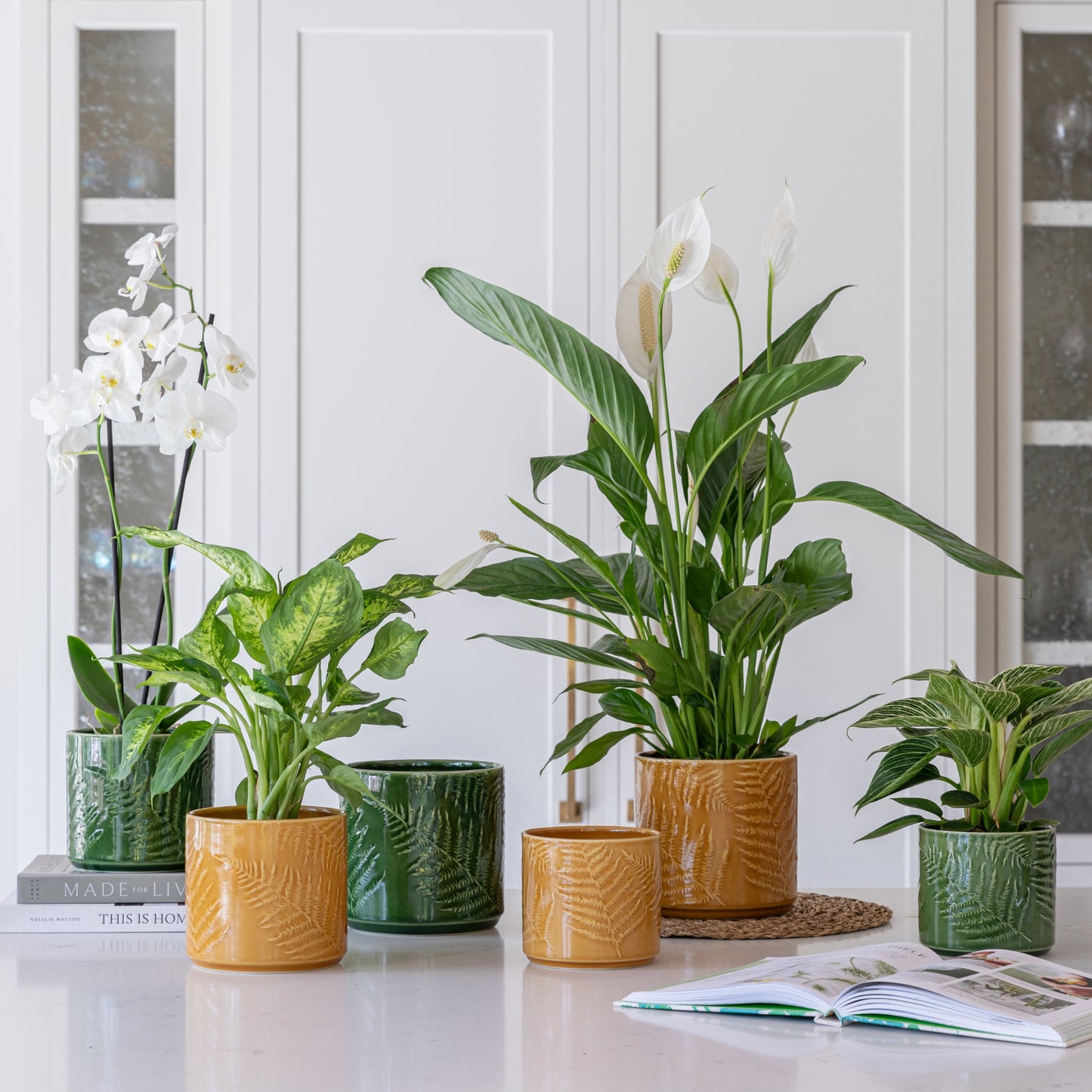 Amber Fern Plant Pot