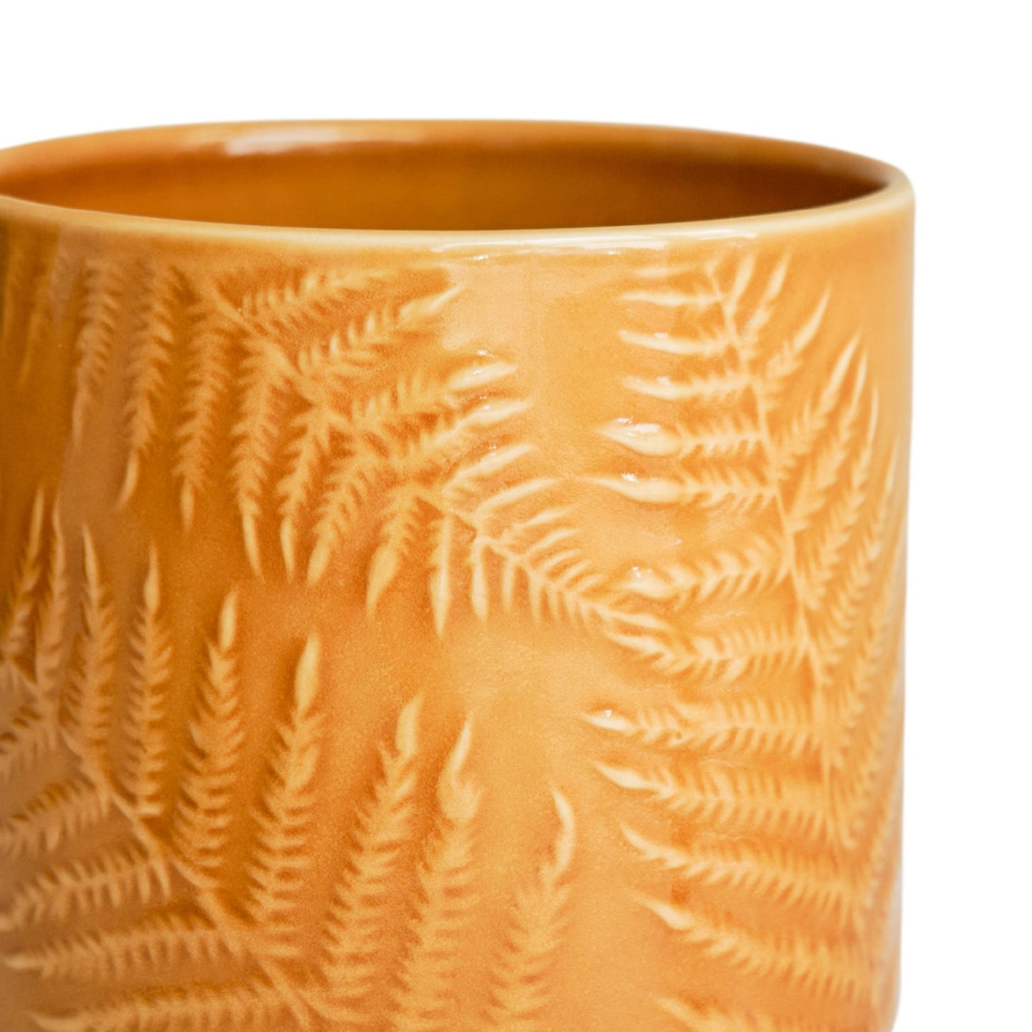 Amber Fern Plant Pot