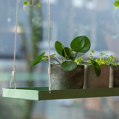 Window Dressing Hanging Plant Stand