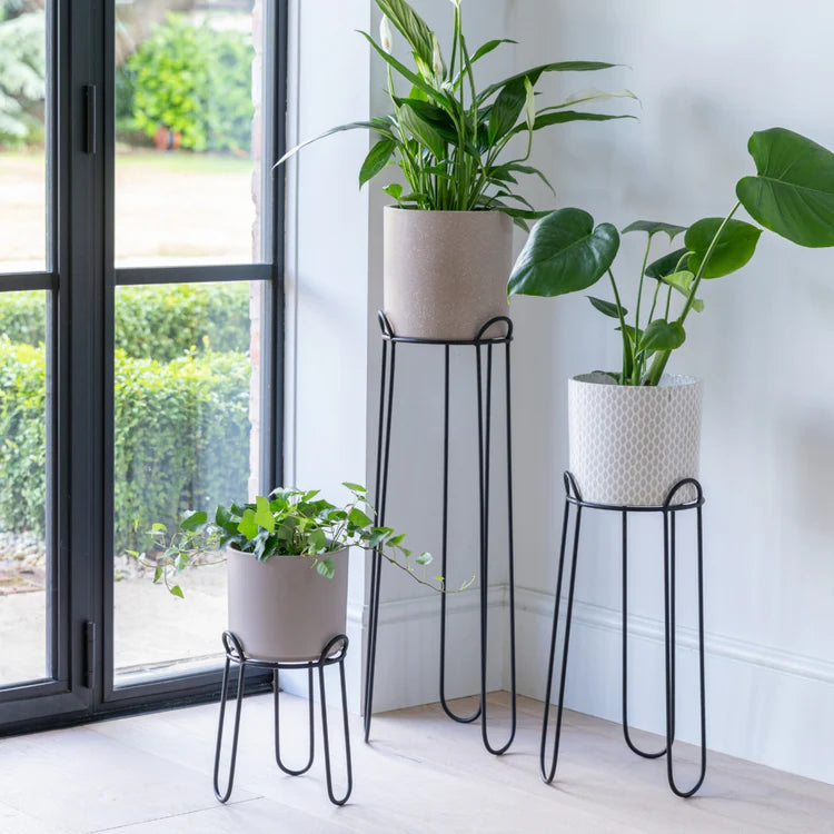 Looped Wire Plant Stand