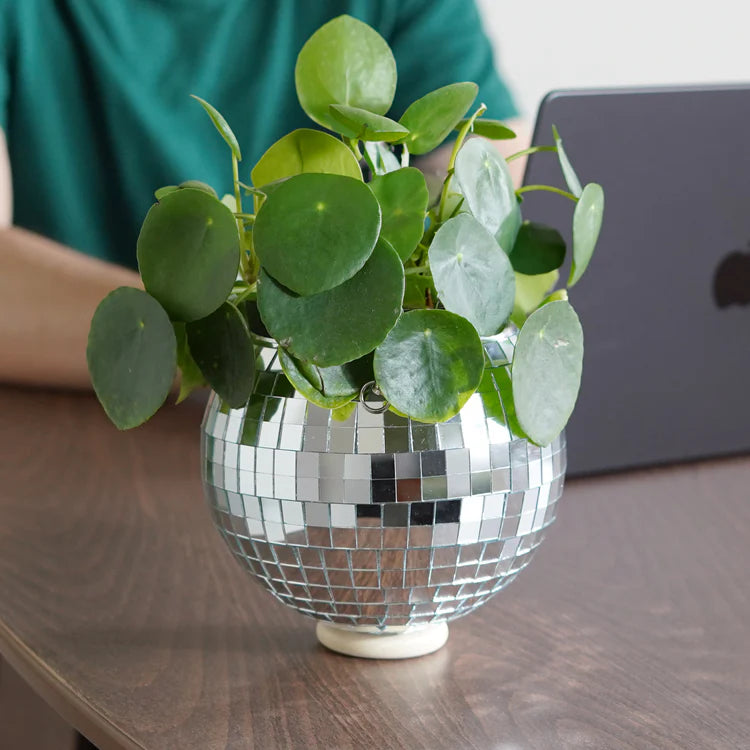 Glitter Ball Planter