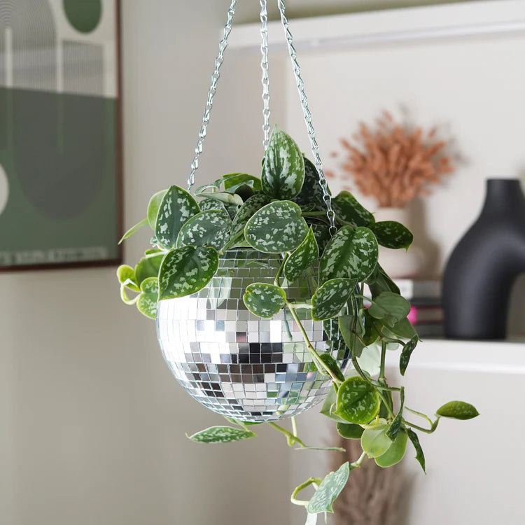 Glitter Ball Planter