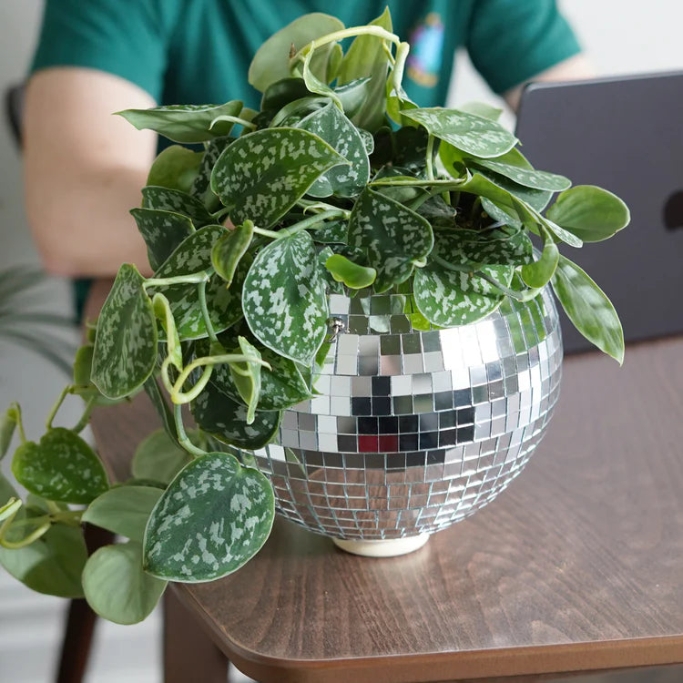 Glitter Ball Planter