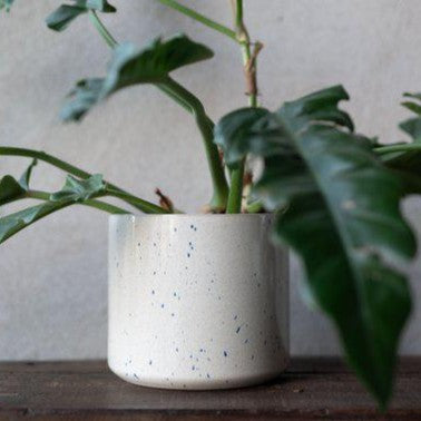 Valentina Scandi Pot