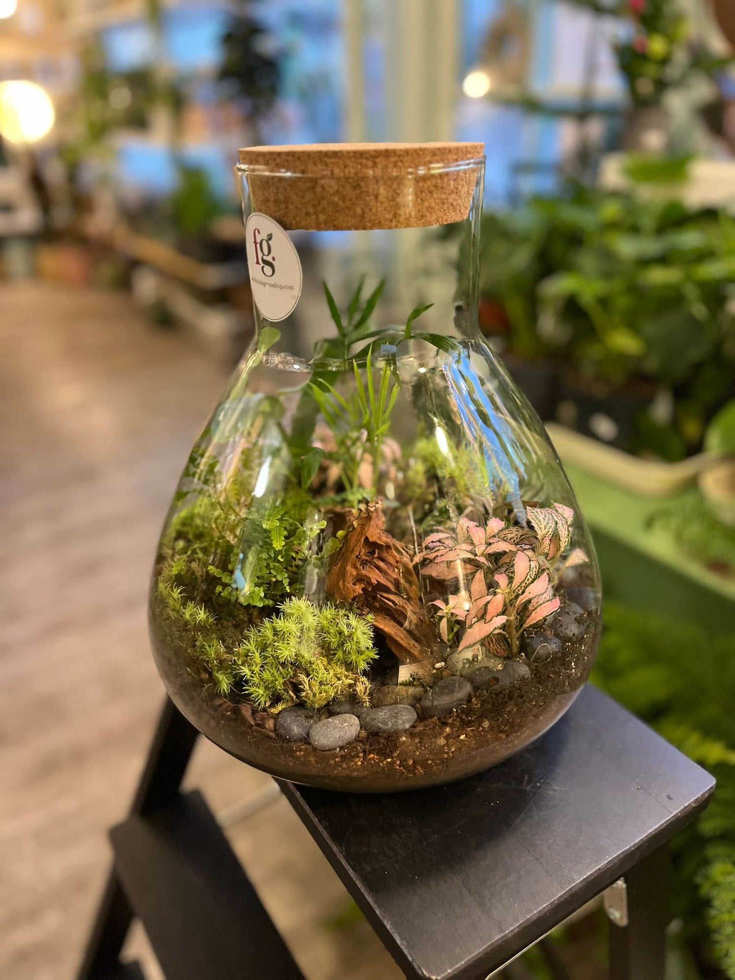 Bespoke Terrariums