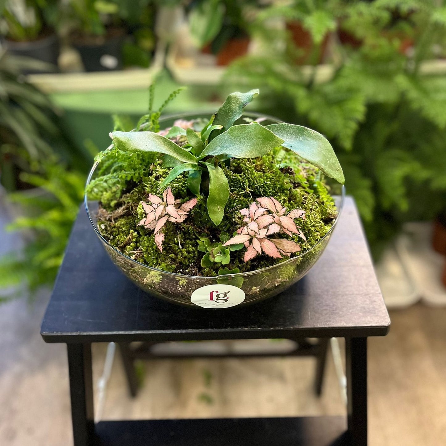Bespoke Terrariums