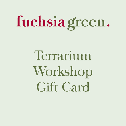 Terrarium Workshop Gift Card