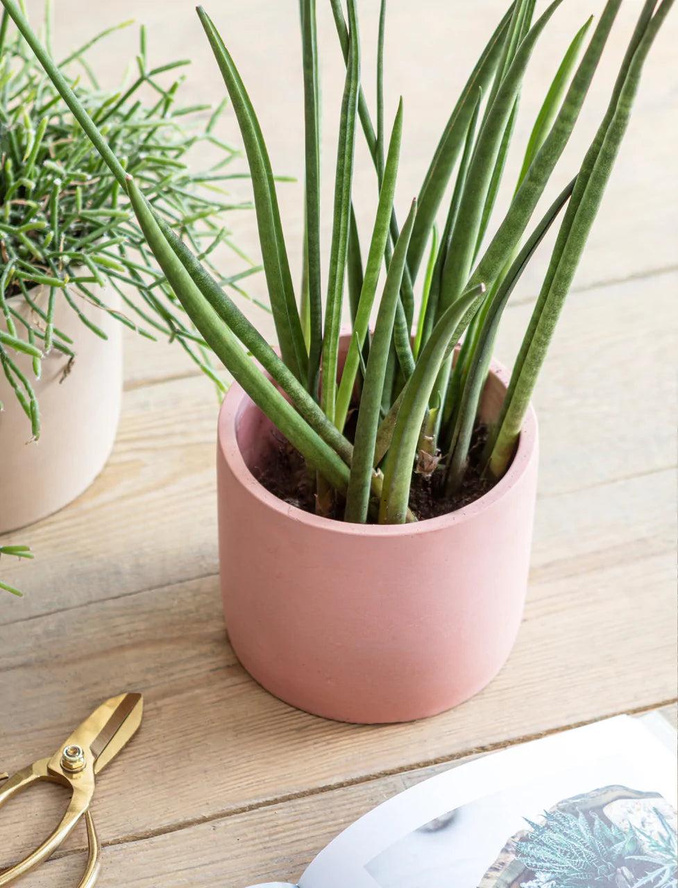 Brick Cement Pot