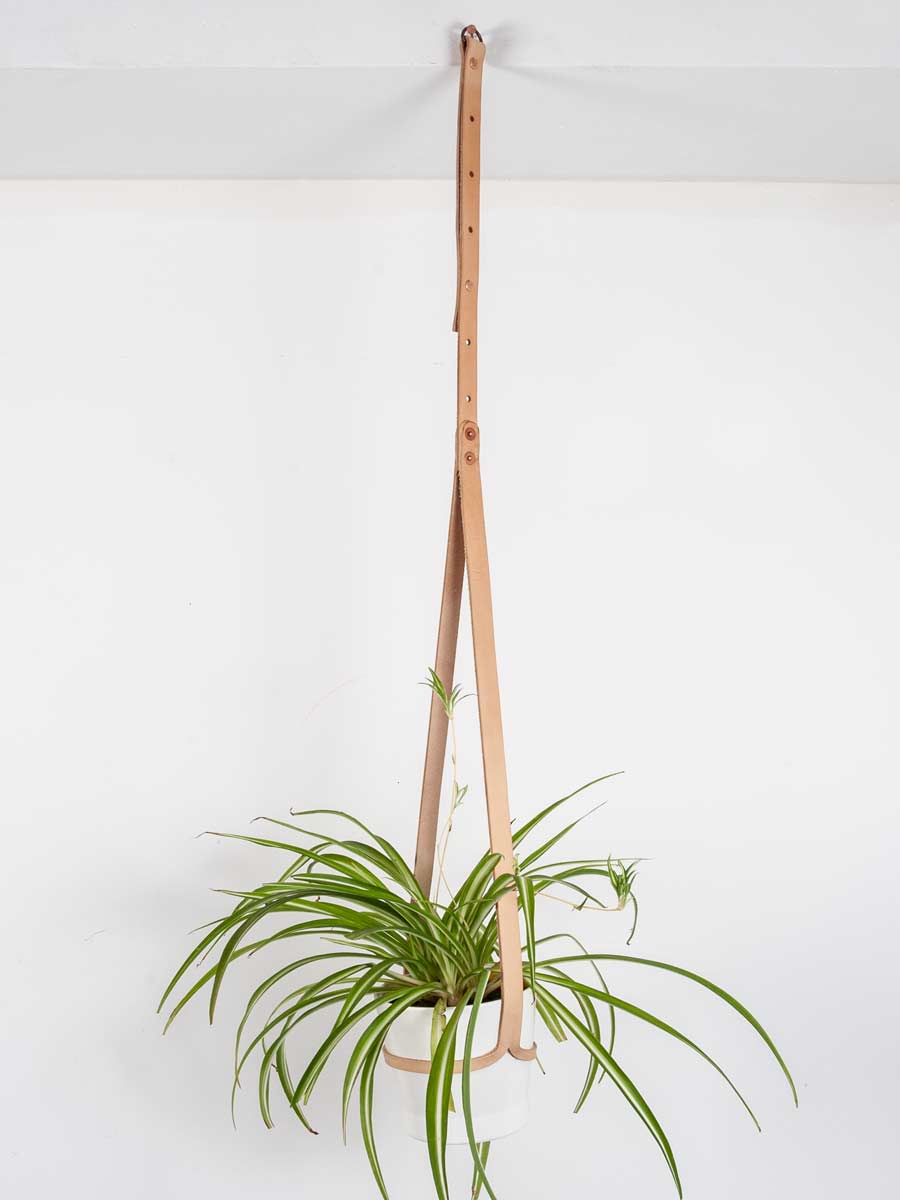 Leather plant hanger