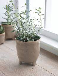 Stone Pot