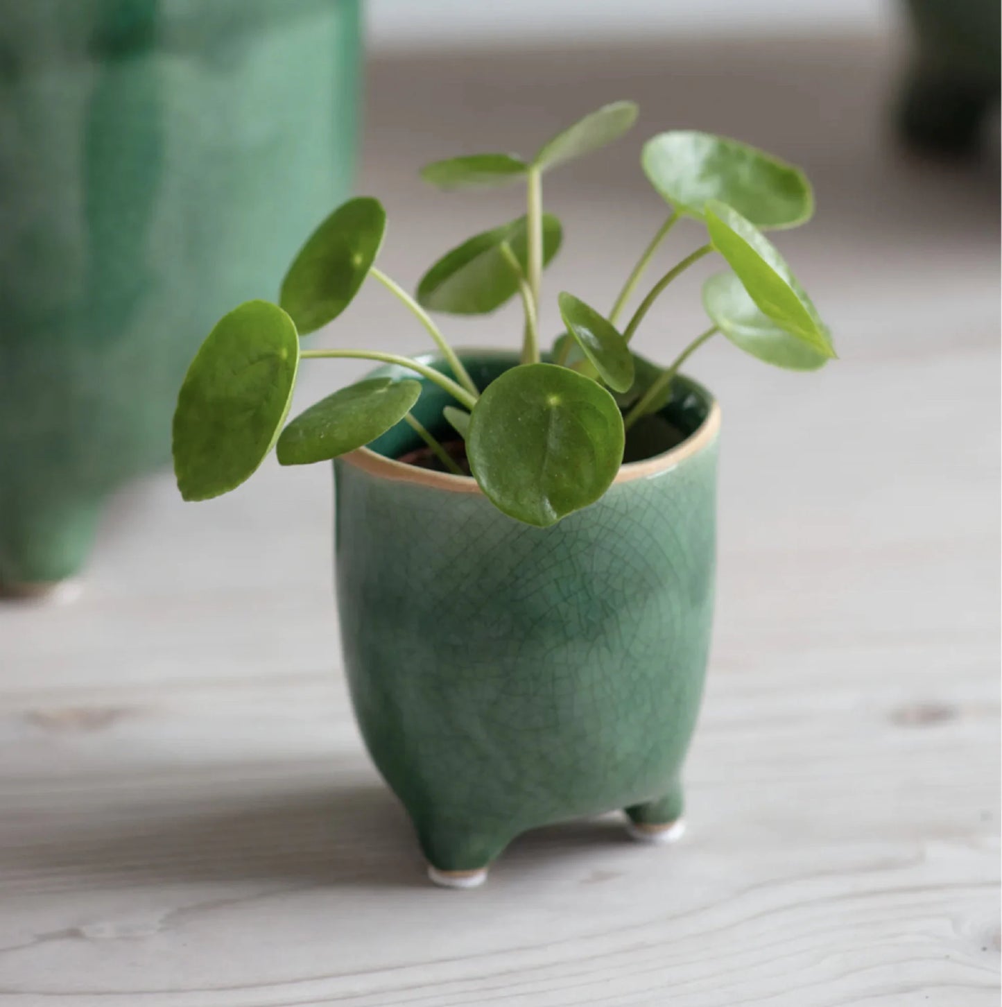 Emerald Green Pot