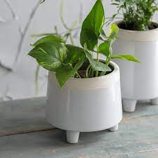 Chalk Pot