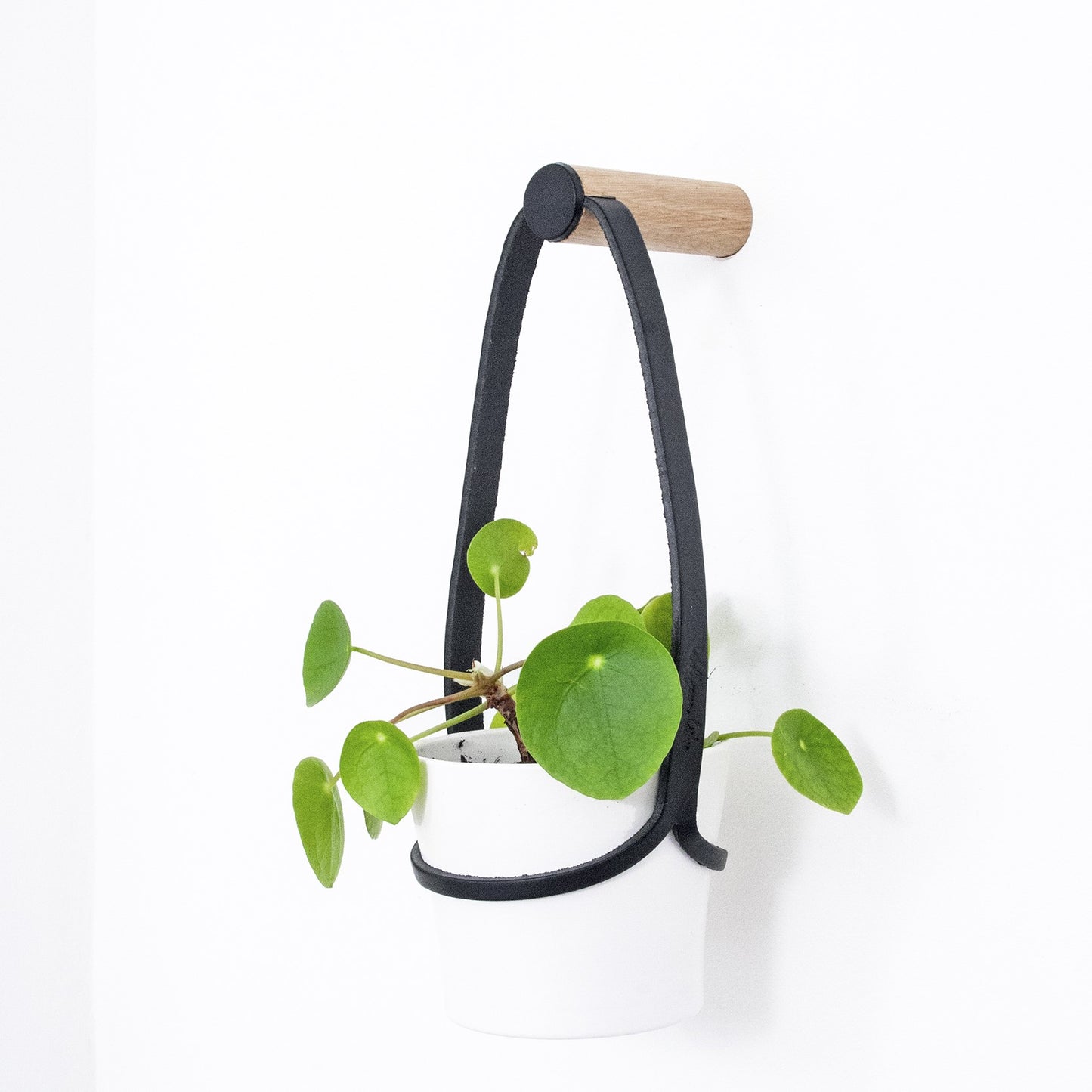 Small Peg Plant Hanger