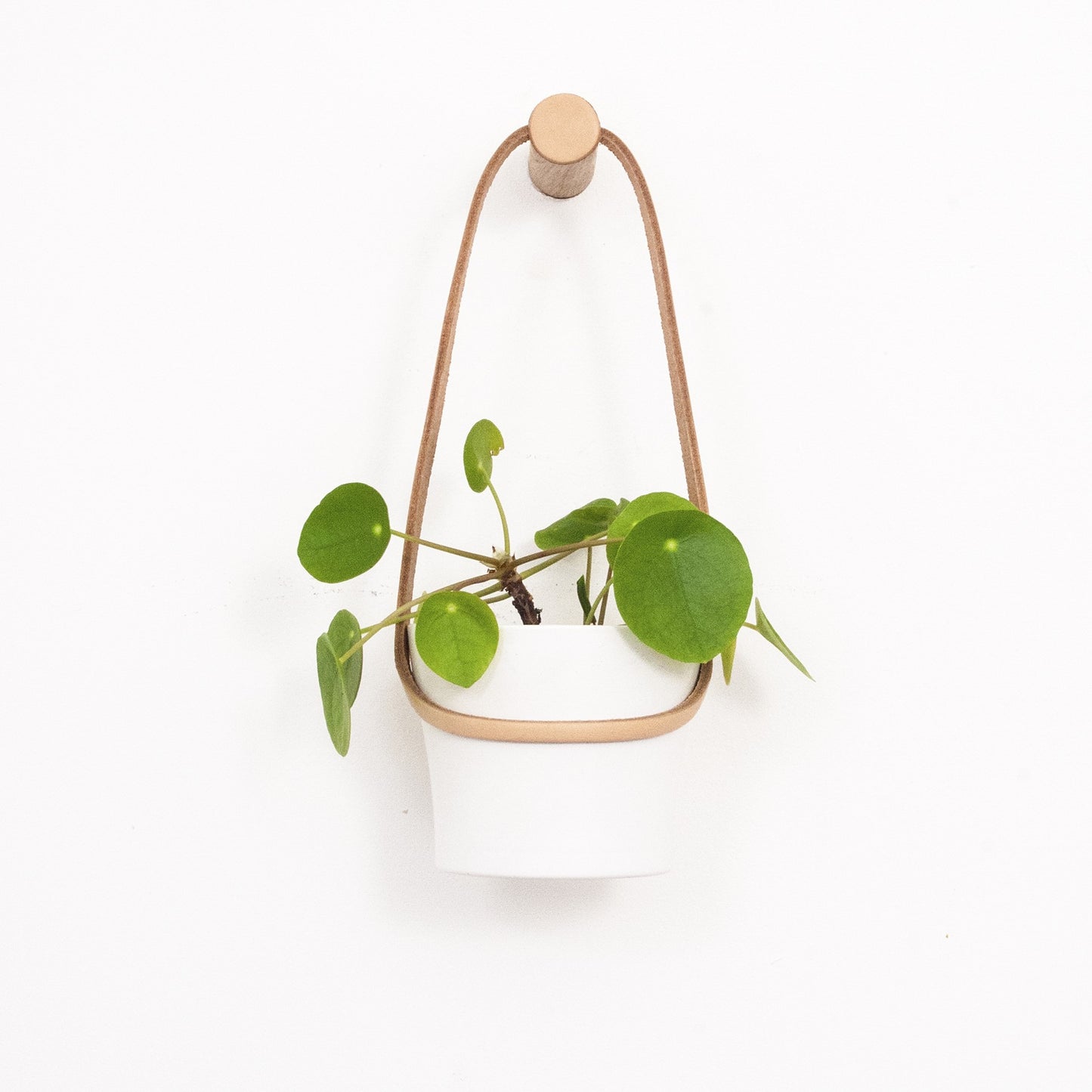 Small Peg Plant Hanger