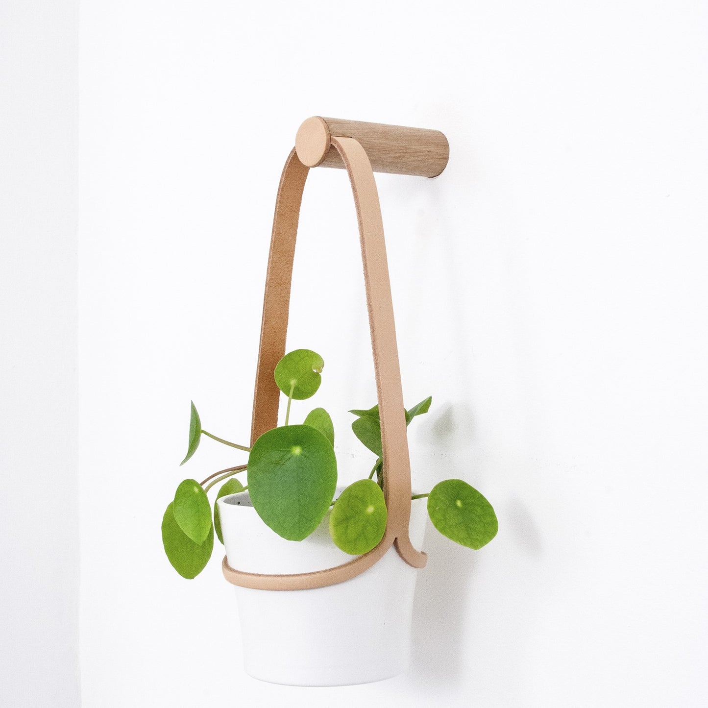 Small Peg Plant Hanger