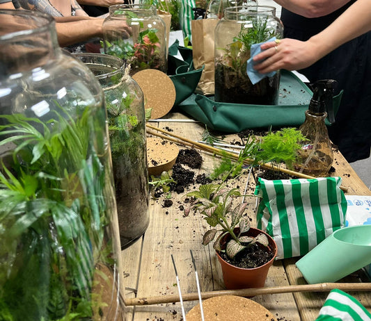 Terrarium Workshops are back!