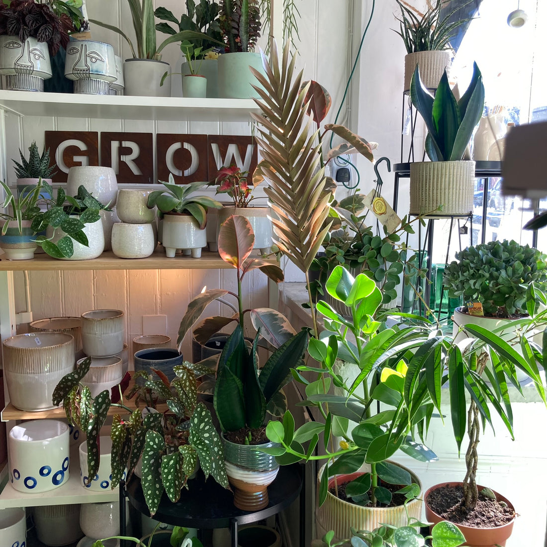 Welcome to Fuchsia Green Shop