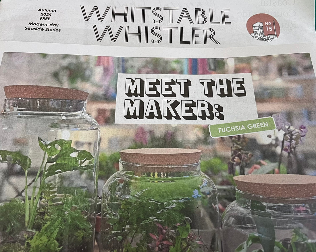 We are in the Whitstable Whistler !