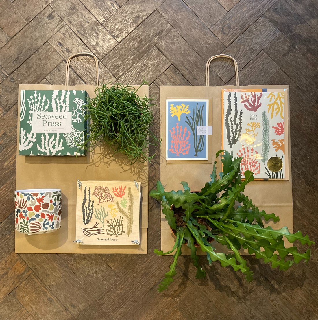Seaweed Inspired Gifts