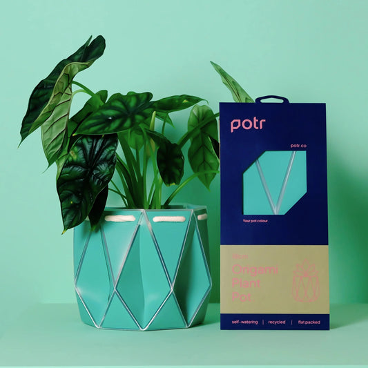18cm Self-watering POTR Pot