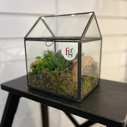 Light Up Greenhouse Terrarium