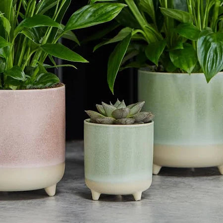 Mini Glazed Pot with Feet