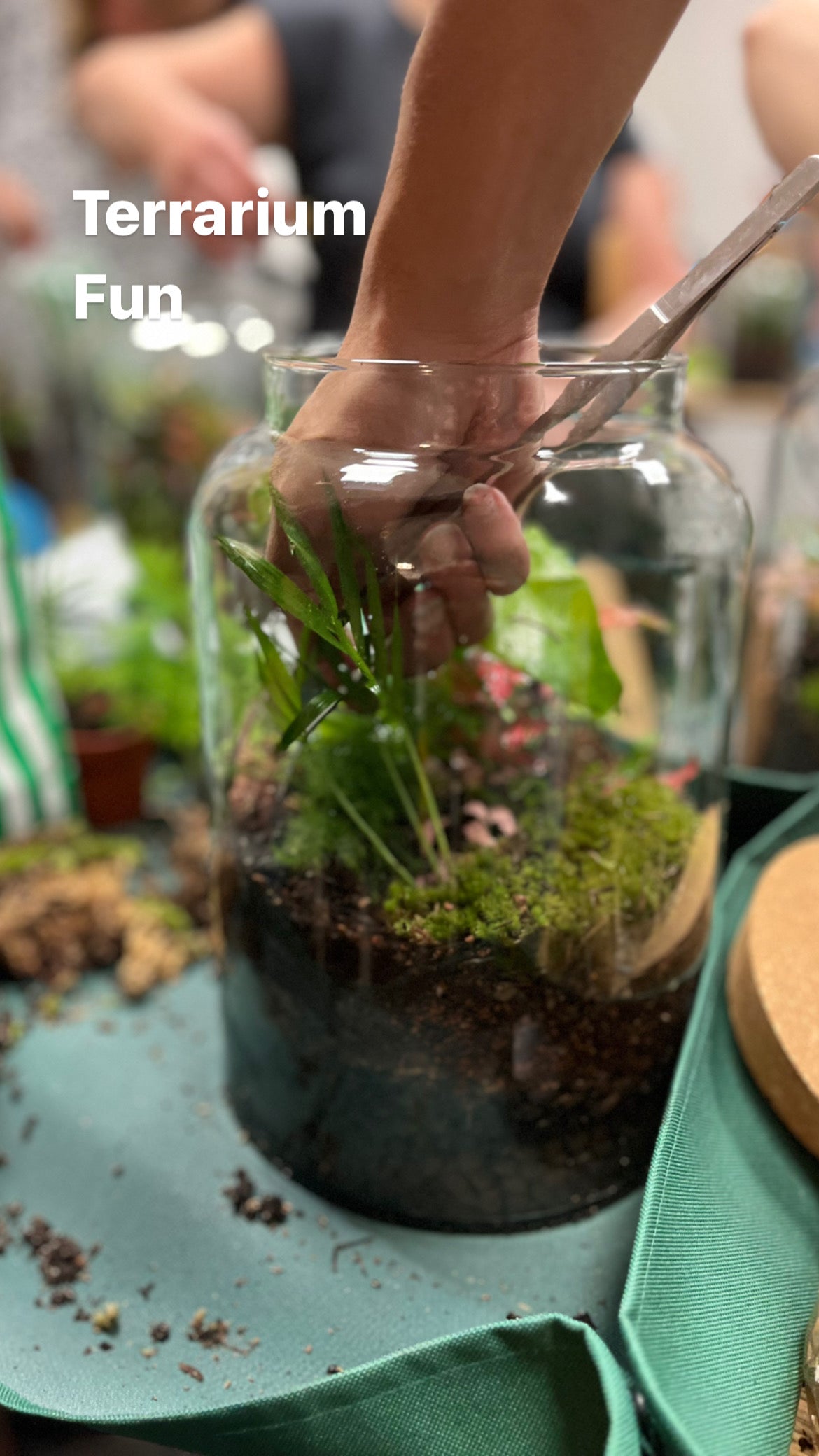 Terrarium Workshop Private Bookings