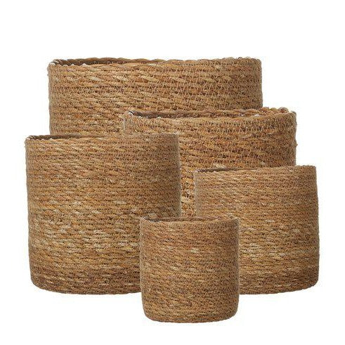 Belle Natural Woven Basket Pot