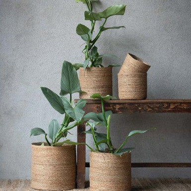 Belle Natural Woven Basket Pot