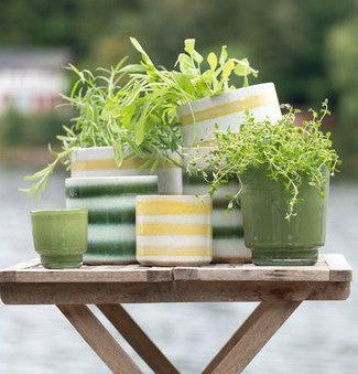 Yellow striped ceramic pot