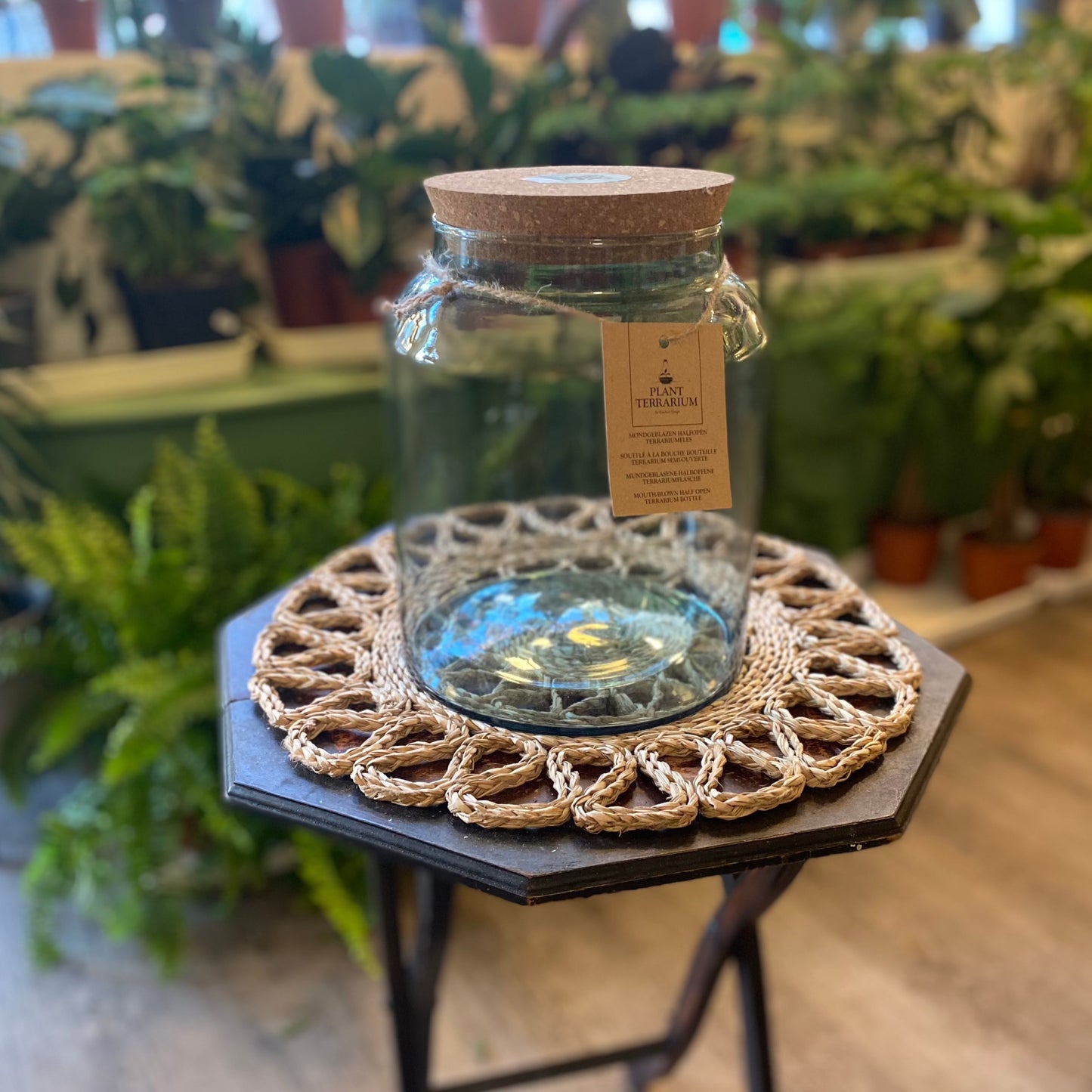 DIY Terrarium Kits
