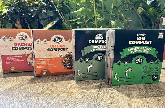 Coco and Coir Compact Compost