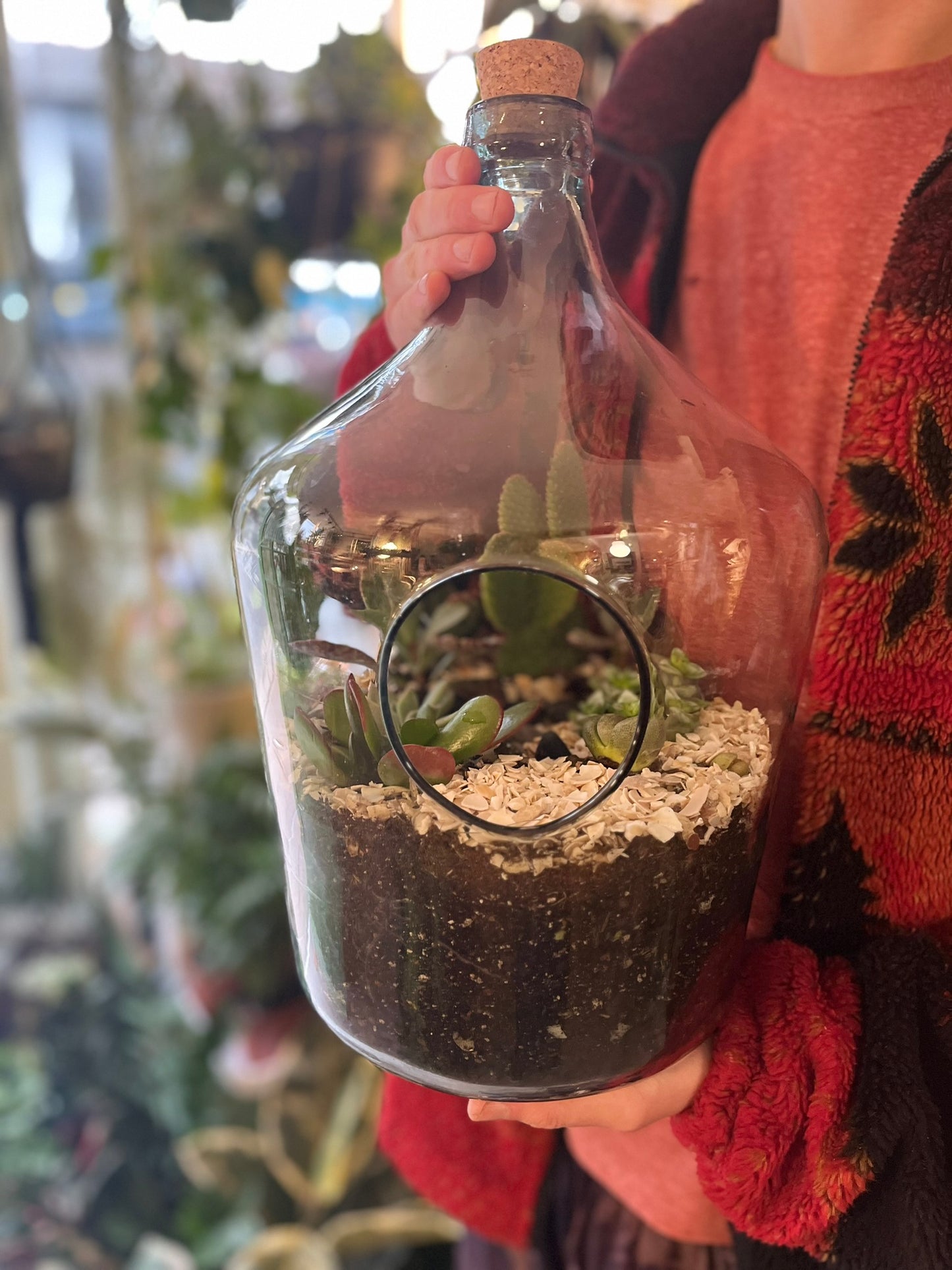 Cacti Terrariums